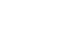 Principote